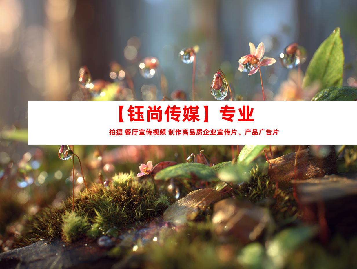 苏州【钰尚传媒】专业拍摄 餐厅宣传视频 制作高品质企业宣传片、产品广告片